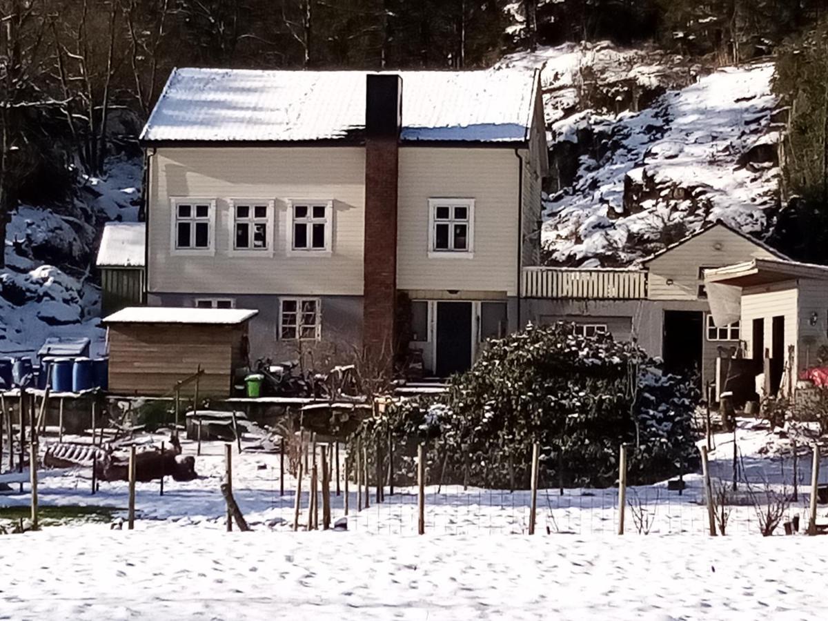 Stall Hav-Vik Farmstay Farsund Exterior photo