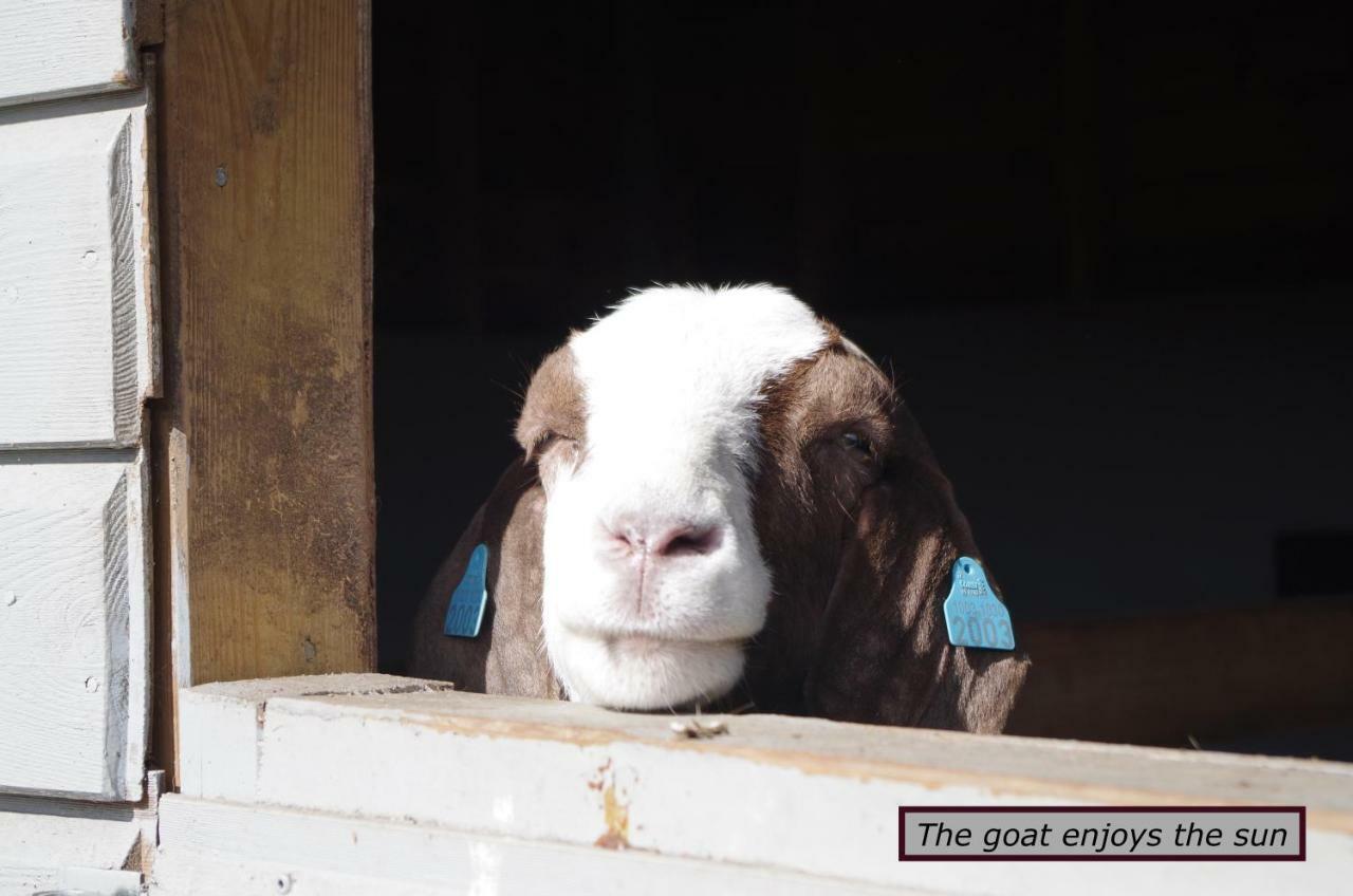 Stall Hav-Vik Farmstay Farsund Exterior photo